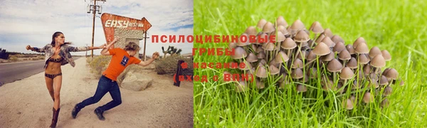 дживик Алзамай