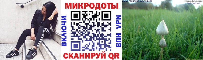 Псилоцибиновые грибы мухоморы  цены   Димитровград 